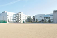 Sports fields