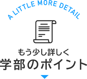 もう少し詳しく 学部のポイント