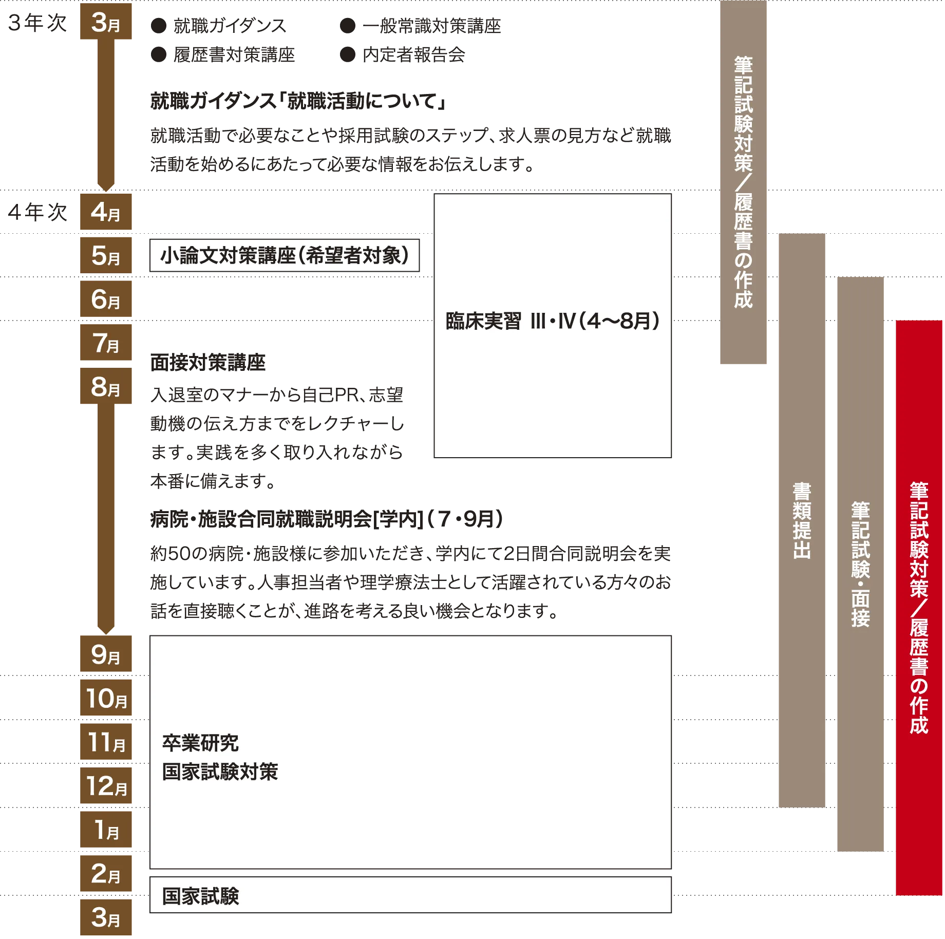 就活スケジュールの流れ