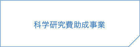 科学研究費助成事業