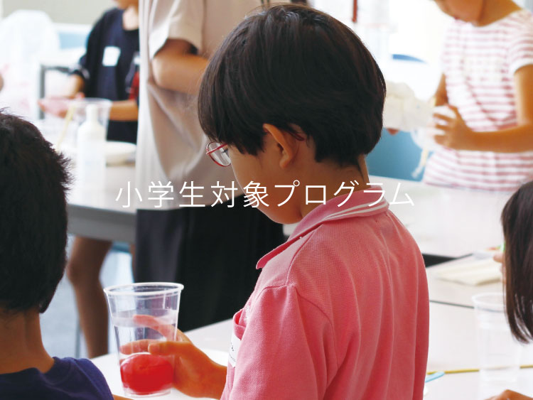 小学生対象プログラム